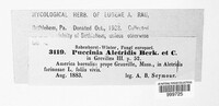 Image Associated With the Occurence